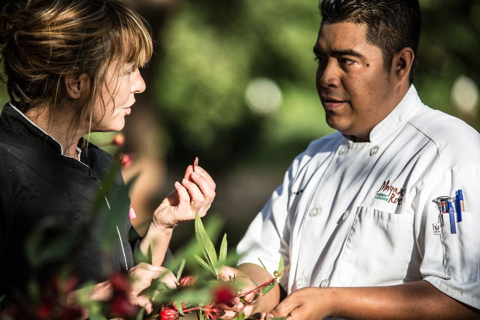 Team Member — Culinary Partner